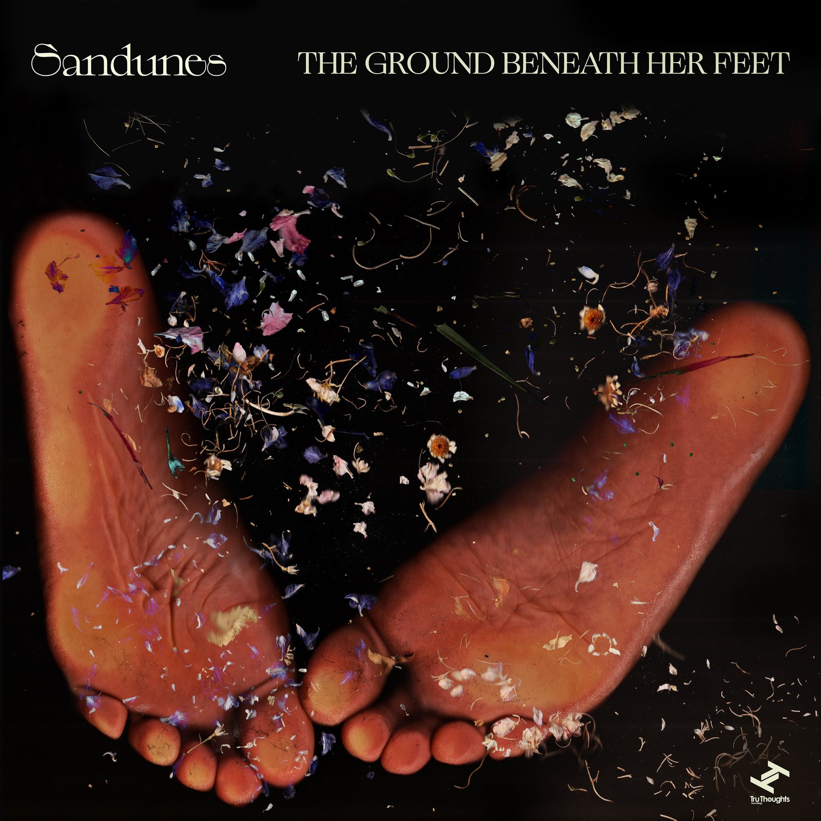 The Ground Beneath Her Feet artwork
